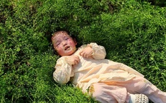 年轻的小婕子A片